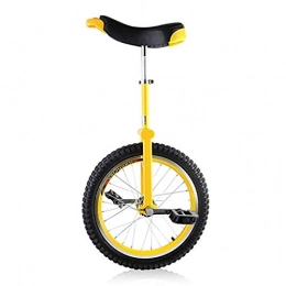 SSZY Bici Monociclo Regalo di Natale per Bambini / Adolescenti / Bambini, Monocicli da 20 / 18 / 16 Pollici, Ruota da Ciclismo con Bilanciere da 24 Pollici per Adulti Unisex, Pneumatico Butilico a Prova di Perdite