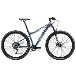 AZYQ Mountain Bike AZYQ Mountain bike a 9 velocit, Mountain bike hardtail per adulti con ruote grandi, Bicicletta con sospensione anteriore con telaio in alluminio, Mountain Trail Bike, Grigio