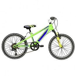 Cicli Adriatica Bici Bicicletta ROCK 20" da bambino di Cicli Adriatica con forcella anteriore ammortizzata (Verde - Blu)
