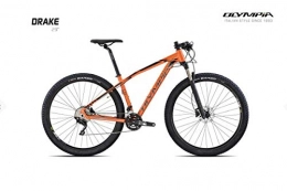 Cicli Puzone Bici Cicli Puzone DRAKE-29 Race 3 Disc Rock Shox 30 Silver Arancio Gamma 2019 (43 CM - M)