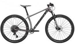 Deed Mountain Bike DEED Vector PRO 291 29 Pollice 39 cm Uomini 12SP Idraulico Freno a Disco Grigio