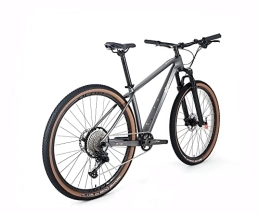 ICE Bici ICE Mt10, Bicicletta Unisex-Adulto, Grigio, 19