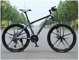 JF-XUAN Bici JF-XUAN Bicicletta Sport all'Aria Aperta MTB Sospensione Anteriore 30 velocità con Mountain Bike 26" 10 Razze con Freni a Doppio Olio e Telaio HighCarbon Acciaio, Grigio