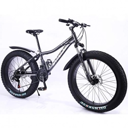 MYTNN Mountain Bike MYTNN Fatbike nuova Style 26 pollici 21 marce Shimano Fat Tyre Mountain Bike 47 cm RH Snow Bike Fat Bike Fat Bike (grigio)