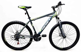 Reset Mountain Bike Reset Bicicletta Mountain Bike MTB Ragazzo 29" 21V Front Suspension Grigio e Verde