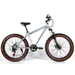 YOUSR Mountain Bike YOUSR Mountain Bike Snow Bike Mountain Biciclette 21 / 24 velocità per Uomo e Donna Silver 26 inch 24 Speed