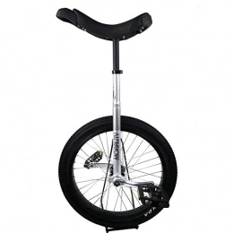 ywewsq Bicicleta ywewsq 20", Entrenador para niños / Adultos Monociclo Altura Ajustable, Antideslizante Butyl Mountain Tire Balance Ciclismo Bicicleta estática (Color: Silver, Size: 20 Inch)