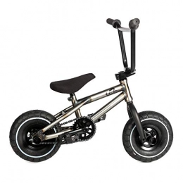 Venom Bike Venom 2021 Mini BMX Pro – Matt Raw