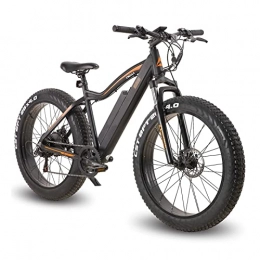 Electric oven Bike 26" Fat tire Electric Mountain Bike with 500W Motor, Removable 48V Battery, 7 Speed Gears, 5-speed LCD Display, 20MPH Electric Bike for Adults (Number of speeds : 7, Size : 26 Inch)