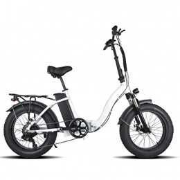 LWL Electric Bike Electric Bikes for Adults Folding Electric Bikes for Adults 750W Snow Electric Bicycle 48v 13ah Li-Ion Battery Mountain 20 Inch Fat Tire Electric Bike Foldable 2 Seat (Color : White)