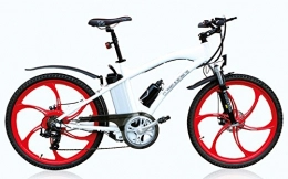 Ecomission Electric Bike Electric Mountain Bike