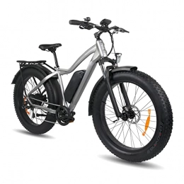 HMEI Bike HMEI Electric Bikes for Adults Electric Snow Bike for adults that go 25 mph 26 inch Tire 48V 750W 624WH Electric Bicycle Fat Tire Adult E bike Powerful E-bike (Color : Light grey)