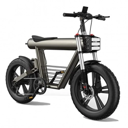 LWL Electric Bike LWL Electric Bikes for Adults Electric Bike 800W for Adults Electric Mountain Retro Bicycle 20 Inch Fat Tire Electric Bike with 60V 20Ah Lithium Battery Ebike (Color : Gray, Gears : 7Speed)