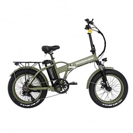 Velobecane Bike Velobecane Snow Electric Bike