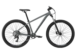 EB Eastern BIkes Bike Eastern Bikes Alpaka 29" Lightweight MTB Mountain Bike, 9-Speed, Hydraulic Disc Brakes, Front Suspension Available in 4 Frame Sizes. (21", Grey)