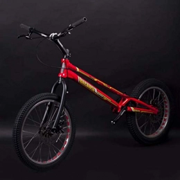 AISHFP BMX 20 Zoll Adult Straße Trial Bike, Advanced Stunt Aktion geeignet Fancy Klettern Fahrrad für Anfänger-Level Fortgeschrittene Biketrial