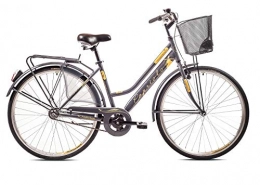 breluxx Fahrräder breluxx® 28 Zoll Damenfahrrad Amsterdam, 1 Gang, Rücktrittbremse, Citybike mit Korb + Beleuchtung, Retro Bike, antrazit - Modell 2020