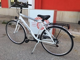 Regina Fahrräder Fahrrad Fahrrad 28Knigin New Venezia Herren Silver Grau