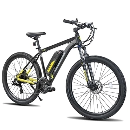 HH HILAND Elektrofahrräder HILAND E-Bike 29 Zoll Mountainbike für Damen und Herren, Mountainbike Elektrofahrrad mit Shimano 21 Gang & Hinterradmotor und 36V 10, 4Ah Lithium-Akku MTB schwarz