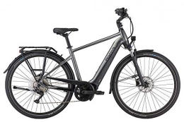 Pegasus Elektrofahrräder PEGASUS Premio EVO 10 Lite Herren E-Bike Pedelec 2021, Farbe:Chrom, Rahmenhöhe:50 cm, Akku:625 Wh