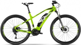 RAYMON Fahrräder RAYMON E-Nineray 4.5 29'' Pedelec E-Bike MTB grün / schwarz 2019: Größe: 55cm