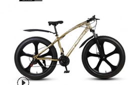 peipei Mountainbike 26 Zoll Doppelscheibenbremse breiter Reifen Variable Geschwindigkeit Erwachsenen Mountainbike Fat Bike-15_Zwei Vier