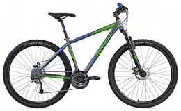 Legnano Fahrräder Legnano 29 Zoll Mountainbike Andalo Aluminium Scheibenbremsen 27 Gänge Grau-Grün 45 cm Rahmengröße
