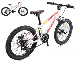 loknhg Mountainbike loknhg Giant XTC 20-D Aluminium Mountainbike 20 Zoll, 7-Gang Flachgriff, Rahmen Scheibenbremse und Stoßdämpfer Vordergabel, geeignet für Kindergröße 120-135cm stufenloses Jugendfahrrad hellweiß