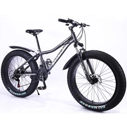 MYTNN Mountainbike MYTNN Fatbike neues Style 26 Zoll 21 Gang Shimano Fat Tyre Mountainbike 47 cm RH Snow Bike Fat Bike (grau)