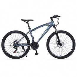 SHANJ Mountainbike SHANJ Hardtail-Mountainbike, Jugend Erwachsene Herren Damen MTB-Fahrrad, 21-30Geschwindigkeiten Optionen, Leichter Stahlrahmen, Doppelscheibenbremse und Federgabel