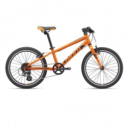 Shengshihuizhong Mountainbike Shengshihuizhong 20 Zoll - 8-Gang-Jugendfahrrad, gerader Lenker, Aluminiumlegierung, Anfnger, Familien und Geschenke, einfaches Design (Color : Orange, Edition : 20 Inch)