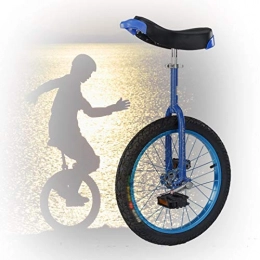GAOYUY vélo GAOYUY Monocycle 16 / 18 / 20 / 24 Pouces, Cadre en Acier Au Manganèse Solide Monocycle Freestyle for Les Enfants Adultes Débutants Facile À Assembler (Color : Blue, Size : 18 inch)