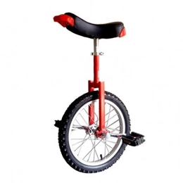 JHSHENGSHI Monocycles Monocycle 20 Roue de 24 pouces Adultes Vélo d'équilibre pour enfants, Monocycles Roues en alliage d'aluminium épaisses, Hauteur du siège de vélo réglable librement, Pneu de montagne en butyl