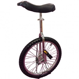 ywewsq vélo ywewsq Monocycle de 20 Pouces pour Grands Enfants / Adultes, monocycle d'extérieur réglable avec Cadre en Acier Robuste et Jante en Alliage, Meilleur Cadeau d'anniversaire (Couleur : Argent, Taille :
