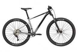 Cannondale Vélos de montagnes Cannondale Trail SE 4 Gris Taille S