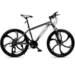 Dsrgwe vélo Dsrgwe VTT, VTT, Hardtail Vélo de Montagne, Double Frein à Disque et Suspension Avant Fourche, 26inch Roues (Color : Gray, Size : 27-Speed)