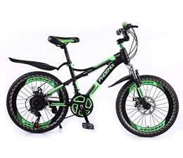 GPAN vélo GPAN Vélo VTT Mountain Bicycles Hors Route vélo, 22 Pouces, absorbeur de Choc, 21 Vitesses, avec Frein à Disque Avant et arrière, Green