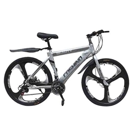 LILIS vélo LILIS Vélo VTT, VTT en Aluminium Vélos Adultes VTT Hommes VTT Vélo de Route for Femmes 24 Pouces Roues réglable Double Frein à Disque (Color : Gray, Size : 30 Speed)