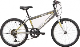 Schiano Vélos de montagnes Schiano Integral 20 Pouces 31 cm Garon 6SP V-Brake Gris / Anthracite