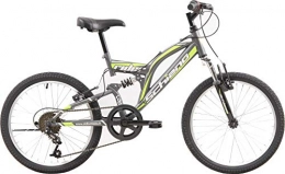 Schiano Vélos de montagnes Schiano Rider Eco 20 Pouces 35 cm Garon 6SP V-Brake Anthracite / Vert