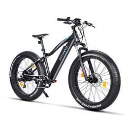 Fitifito vélo Fatbike Pedelec - Vélo électrique - Fitifito FT26 - Moteur arrière 36 V, 250 W - Pneus de VTT Kenda 26 x 4, 0 - Gris / noir mat. , schwarz türkis