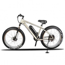 FZYE vélo FZYE Vélos électriques, 26 Pouces Diamètre Roue 350W Bicyclette pour Adultes 21 Vitesses Cyclisme Sports Loisirs