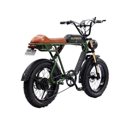 Wonzone vélo Wonzone ddzxc vélos électriques vélo électrique moto électrique double batterie cadre en alliage d'aluminium vélo de montagne électrique véhicule électrique (couleur : vert)
